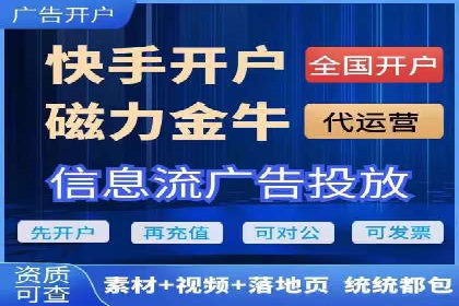 某知名品牌SEM广告投放的创意与执行